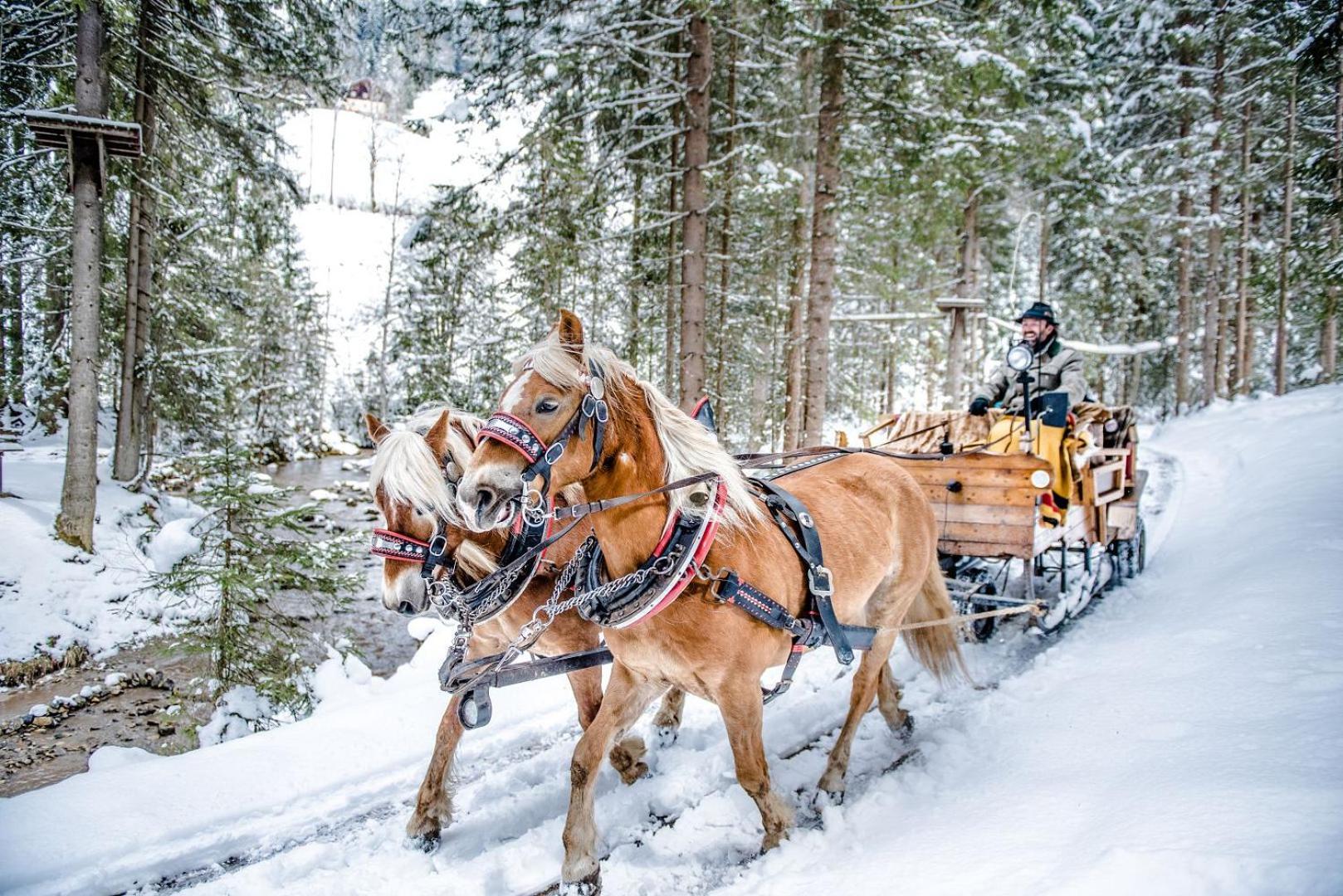 Hotel Sportalmmm, Hoch-Genuss (Adults Only) Zauchensee Luaran gambar
