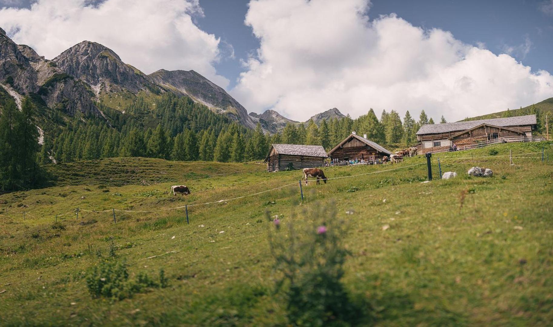 Hotel Sportalmmm, Hoch-Genuss (Adults Only) Zauchensee Luaran gambar