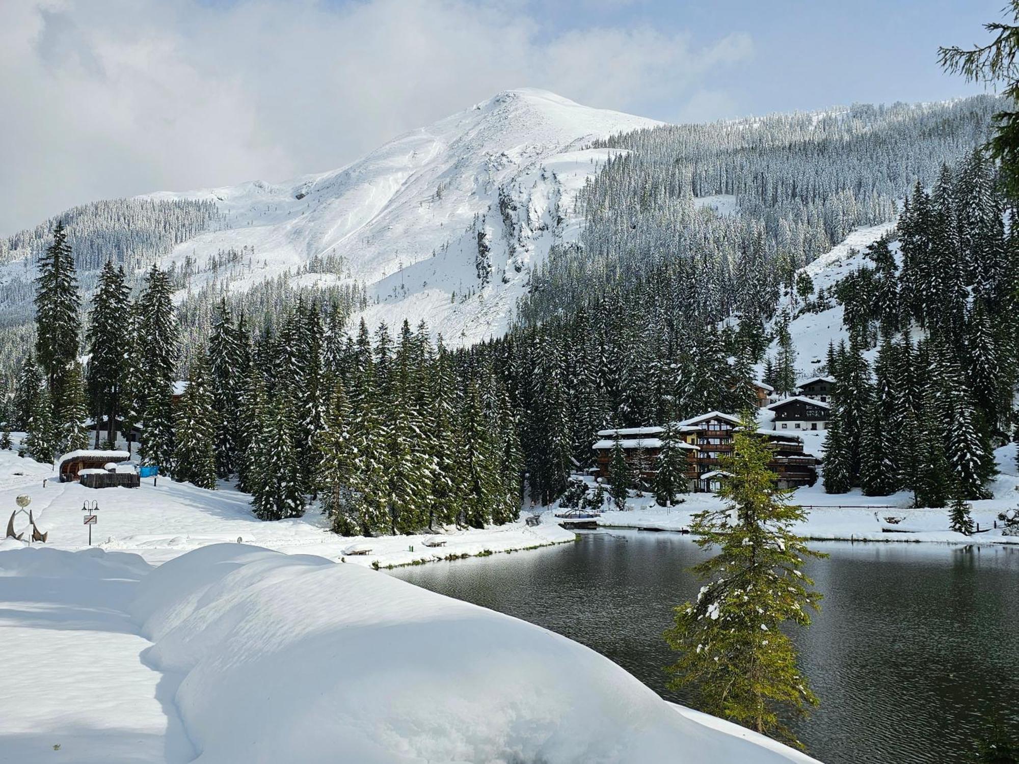 Hotel Sportalmmm, Hoch-Genuss (Adults Only) Zauchensee Luaran gambar